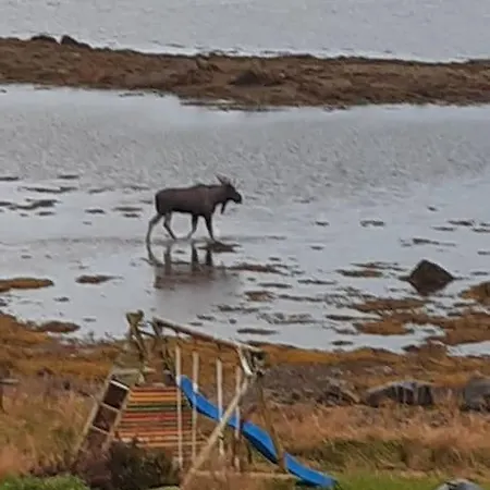 Holiday home By The Sea With Many Activity Opportunities Leknes